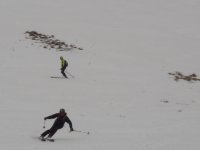 DSC01251.jpg
