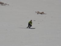 DSC01253.jpg