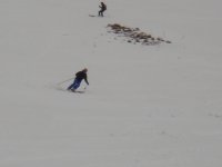 DSC01248.jpg