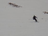 DSC01246.jpg