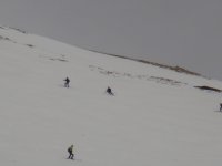 DSC01242.jpg