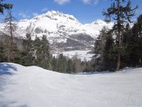 silvaplana-engadina-22.jpg