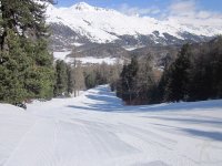 silvaplana-engadina-23.jpg