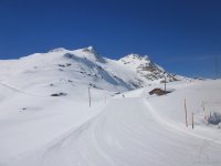 silvaplana-engadina-36.jpg