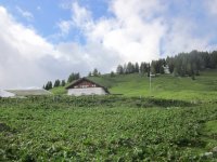 pelmo-coldelapuina-02.jpg