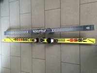 sci wolkl renntiger r 190.jpg