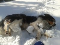 2013-02-27 14.11.41.jpg