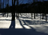 Immagine 055.jpg