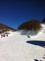 Immagine 136.jpg