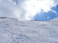 DSCN9833.jpg