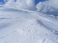 DSCN9837.jpg