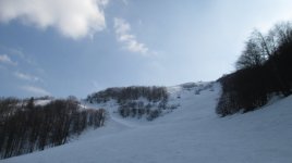IMG_9107.jpg