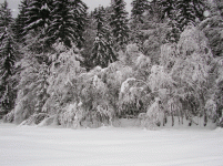 val_saisera2_194.gif