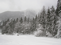val_saisera1_162.gif