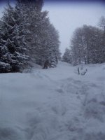 cima_ciste_28_dic_2005_001_838.jpg