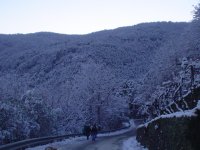 la_foresta_bianca_monte_serra_154.jpg