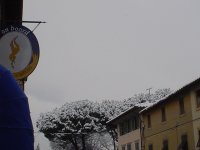 stemma_negozio_di_mio_cugino_con_i_pini_innevati_110.jpg