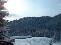 dscf0039_184.jpg