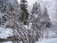 copia_di_campitello_023_133.jpg