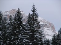 copia_di_casa_160_809.jpg