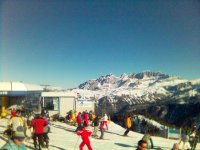 immagine_2_-1_292.jpg