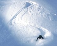 ski1_156.jpg