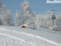 alberello_innevato_sulla_olang1_dicembre_2005_204.jpg