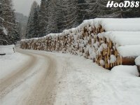 tronchi_innevati_dicembre_2005_183.jpg