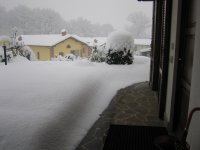 img_0207_219.jpg