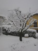 img_0198_843.jpg