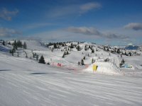p1010007_767.jpg