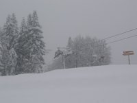 mera_06_025_515.jpg
