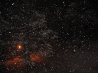 mera_06_011_809.jpg