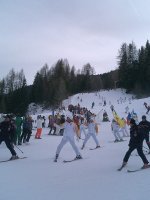 corv96b_275.jpg