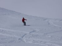 1q2_390.jpg