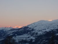 alba_212.jpg