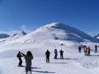 copia_di_immagine_049_743.jpg