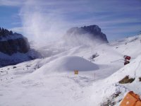 sasslngcann_a_844_x_633_708.jpg