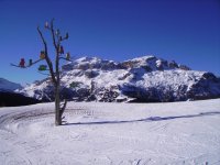albciv_a_844_x_633_213.jpg