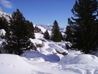 neveapacchi_844_x_633_149.jpg