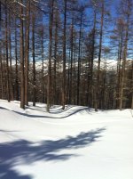 ImageUploadedByTapatalk1411910618.154119.jpg