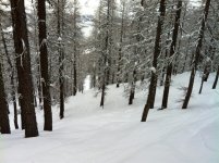 ImageUploadedByTapatalk1411910661.458455.jpg