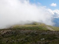 DSCN2890.jpg