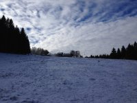 IMG_5948.jpg