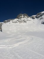 ImageUploadedByTapatalk1420662414.802640.jpg