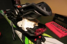 IMG_2032.jpg