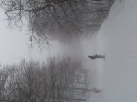 20150215_094134.jpg