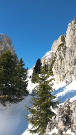 20150216_100947.jpg