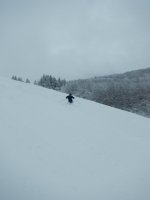 DSCN9730.jpg