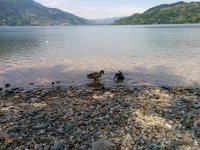 20140510_125836.jpg
